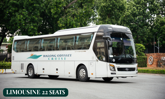Limousine 22 seats.