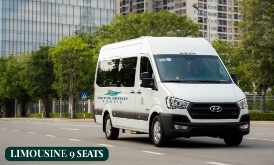 Limousine 9 seats.