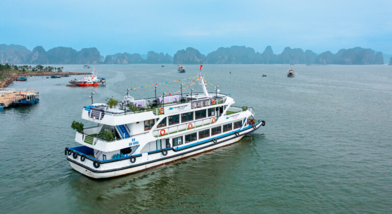 Halong Odyssey Morning Trip